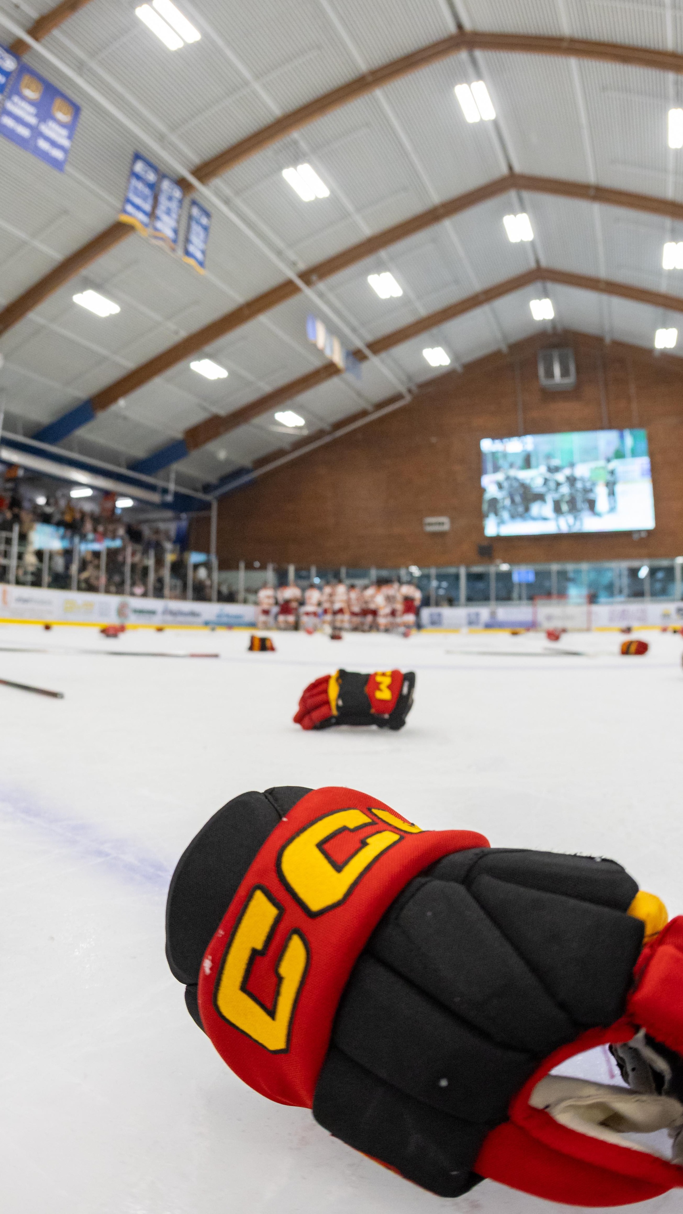 Exactly 24 hours ago!
Final buzzer, the celly, helmets & gloves flying, all smiles!
3-PEAT!
DYNASTY!
🔥🔥🔥