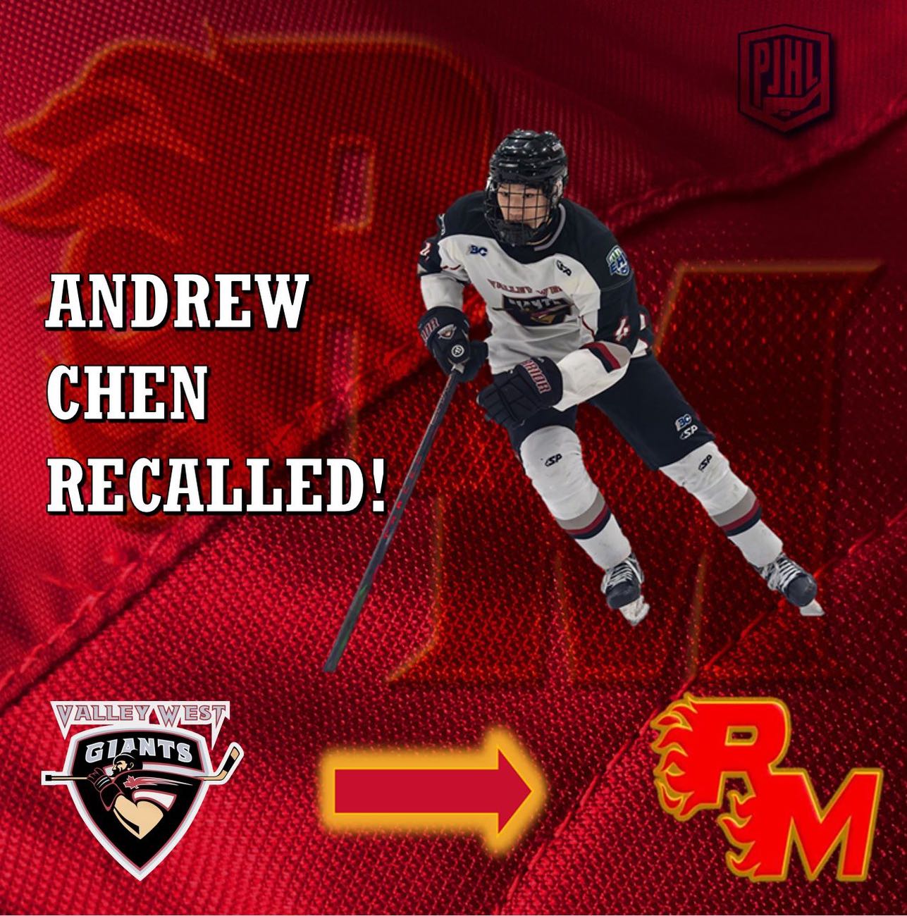 RECALL: 
We have recalled AP Andrew Chen (D-2008) from @vwgiants_aaa team ahead of tonight’s game.
This is Andrew’s second recall of the season. 
🔥🔥🔥🔥